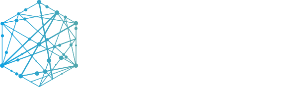DOMINUS IT